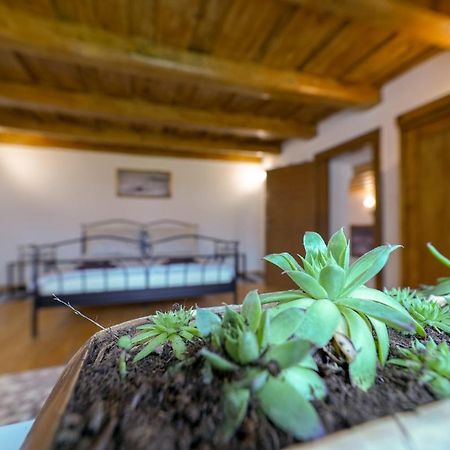 Historicky Dom Kezmarok Villa Dış mekan fotoğraf